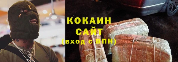 прущие грибы Бронницы