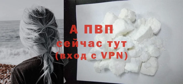прущие грибы Бронницы