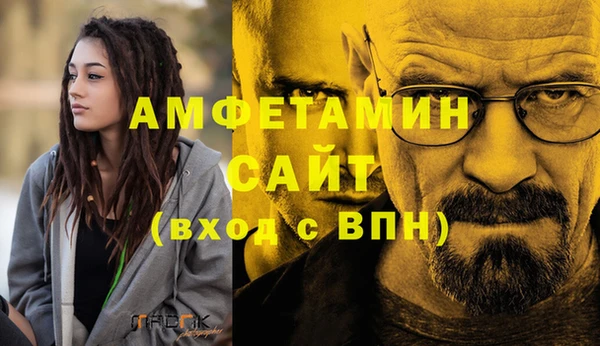 прущие грибы Бронницы