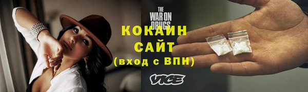 прущие грибы Бронницы