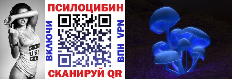 OMG вход  что такое   Новосокольники  Псилоцибиновые грибы Cubensis 